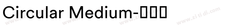 Circular Medium字体转换